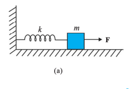 આકૃતિ 14.26(a) બતાવે છે કે k બળ-અચળાંકવાળી એક સ્પ્રિંગના એક છેડાને દૃઢ રીતે જકડેલ છે 
અને તેના મુક્ત છેડા સાથે m દ્રવ્યમાન જોડેલ છે. મુક્ત છેડા પર લગાડવામાં આવતું બળ F એ સ્પ્રિંગને ખેંચે છે.  આ  કિસ્સામાં સ્પ્રિંગનું મહત્તમ વિસ્તરણ કેટલું છે ?