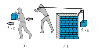 Answer the following :   In Fig.6.13. (i) the man walks 2m carrying a mass of 15kg on his hands. In Fig. 6.13. (ii), he walks the same distance pulling the rope behind him. The rope goes over a pulley, and a mass of 15 kg hangs at its other end. In which case is the work done greater?