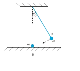 The bob A of a pendulum released from 30^(@) to the vertical hits another bob B of the same mass at rest on a table as shown in Fig. 6.15. How high does the bob A rise after the collision ? Neglect the size of the bobs and assume the collision to be elastic.