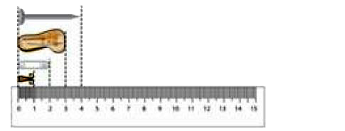 The small scale that you mostly use in school is like this one.      Is it easier to start measuring from the 0 mark? Look at this things drawn near the scale   and find out their lengths.   Look for thing that are   Look for things that are   About 10 centimetres long   Between 10 and 20 centimetres long   Less than 1 cm long