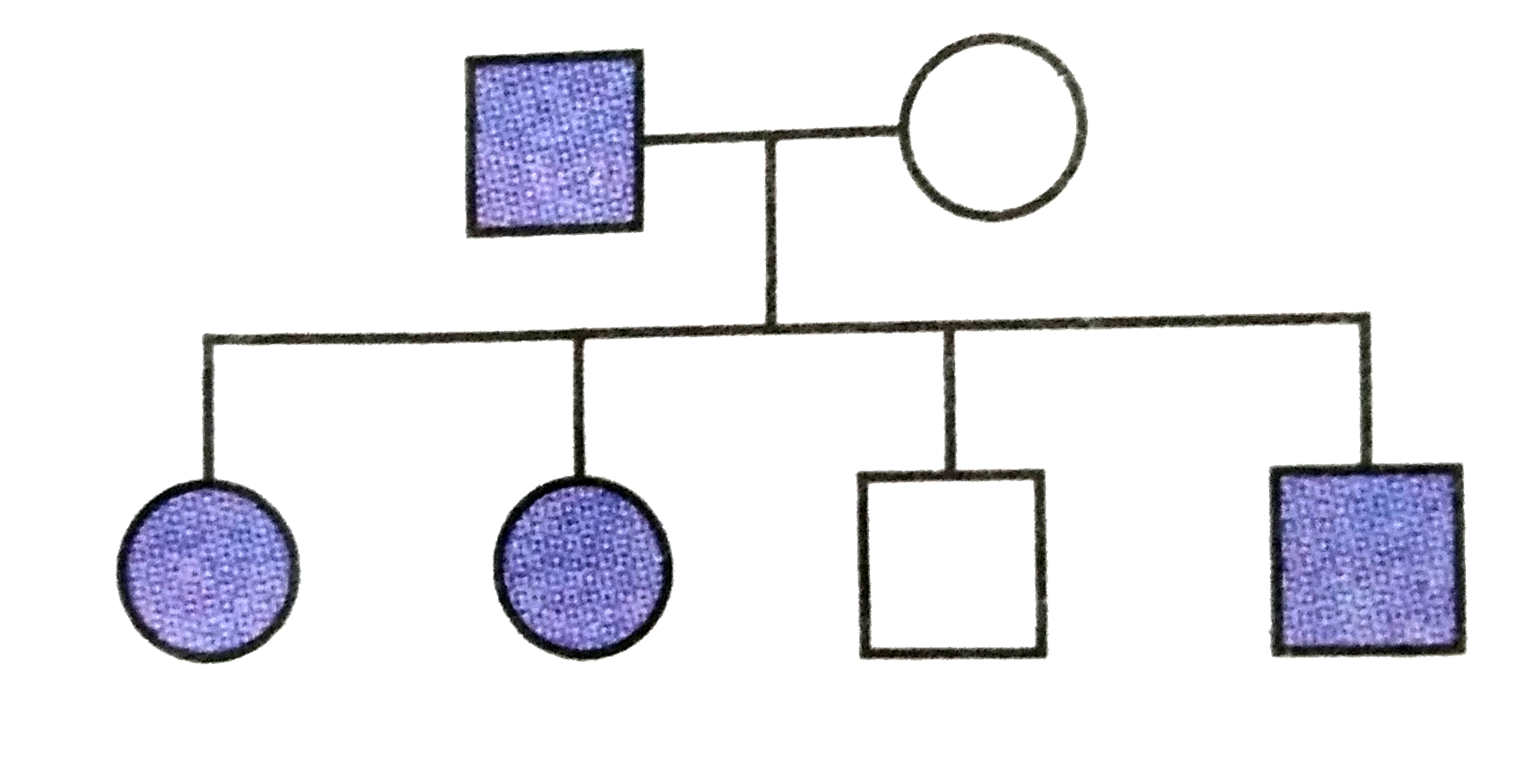 Study the given pedigree chart of a certain family and select the correct conclusion which can be darwn for the character.