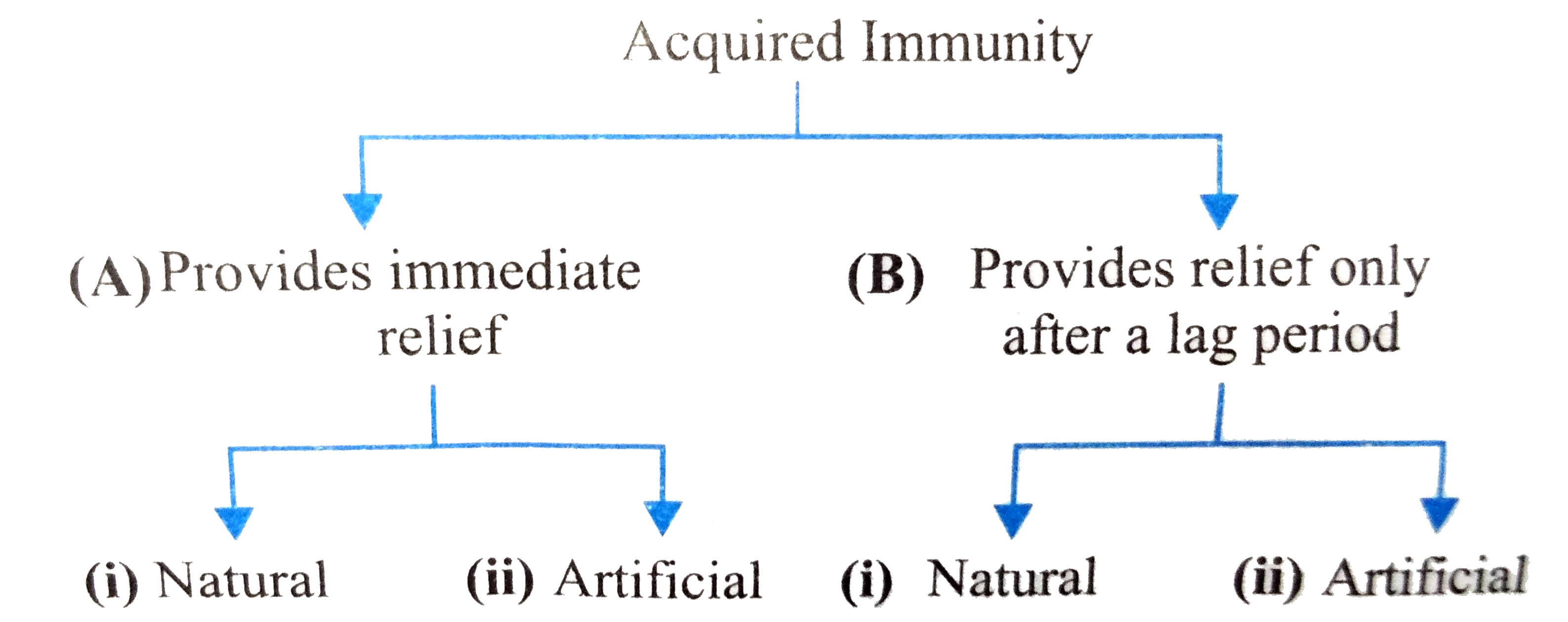 The given flow chart shows classification of acquired immunity. Whgat types of immunity wil be developed by the persons X and Y?   X: A person who has recovered from an attack o measles.   Y: A person who is given anti-tetanus serum.