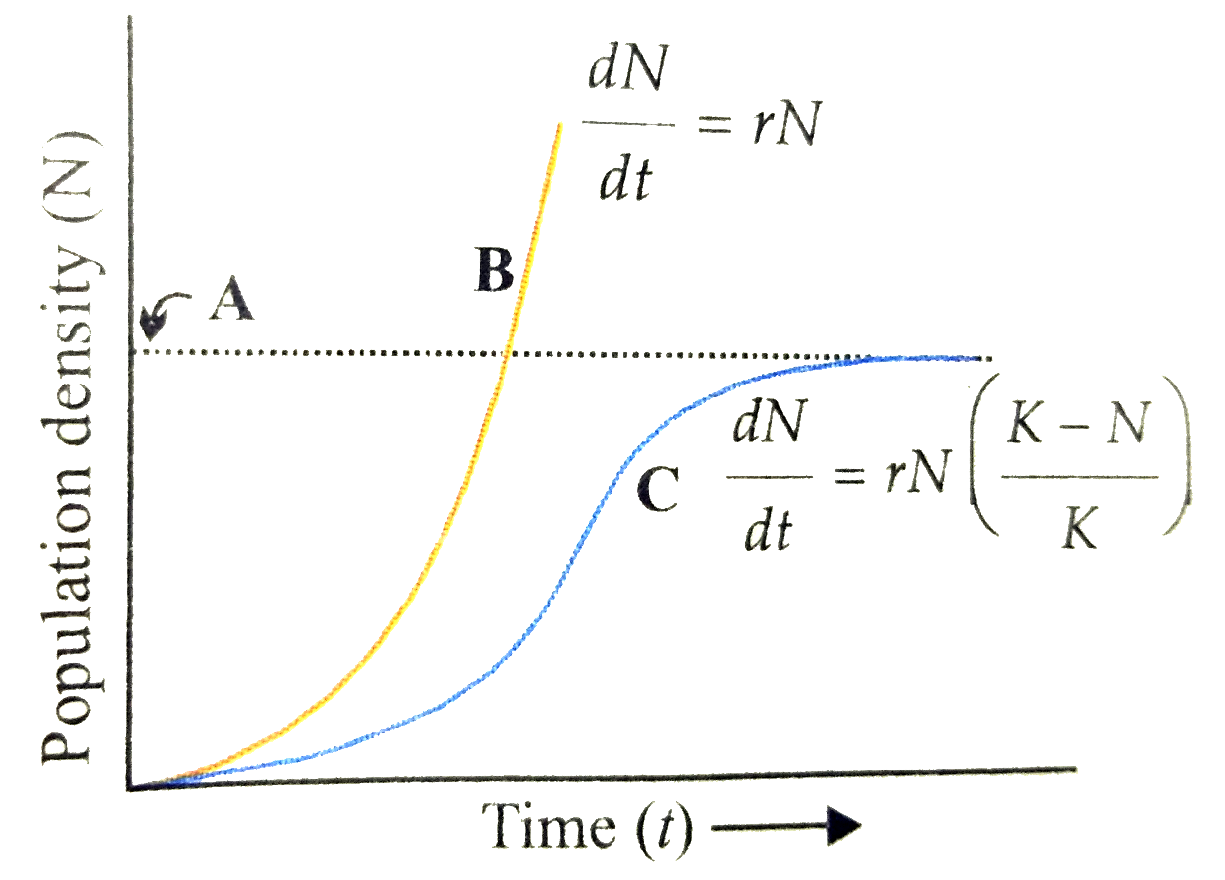 Which is correctly lablld with respect to the given diagram?