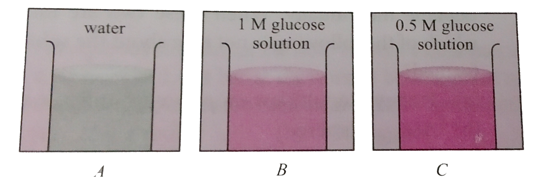 In three beakers labelled as (A),(B) and (C ) , 100 mL of water, 100 mL of 1 M solution of glucose in water and 100 mL of 0.5 M solution of glucose in water are taken respectively and kept at same temperature .      Which of the following statements is correct ?
