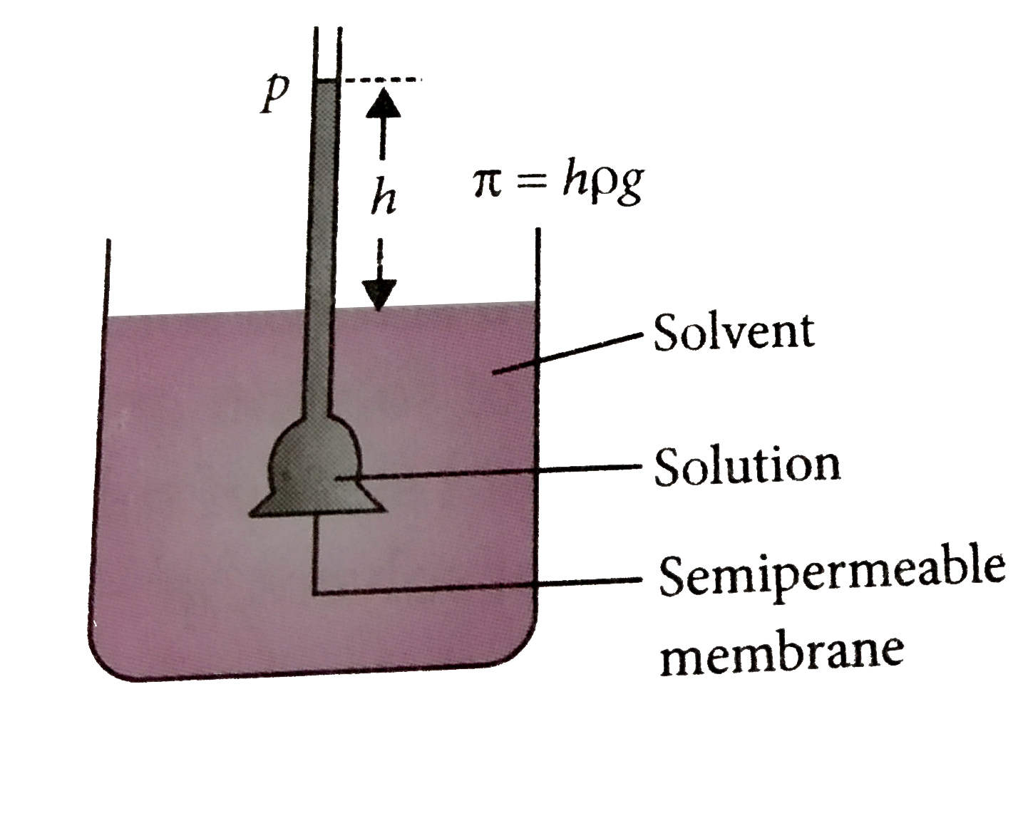 If semipermeable membrane is placed between the solvent and solution as shown in the given figure then