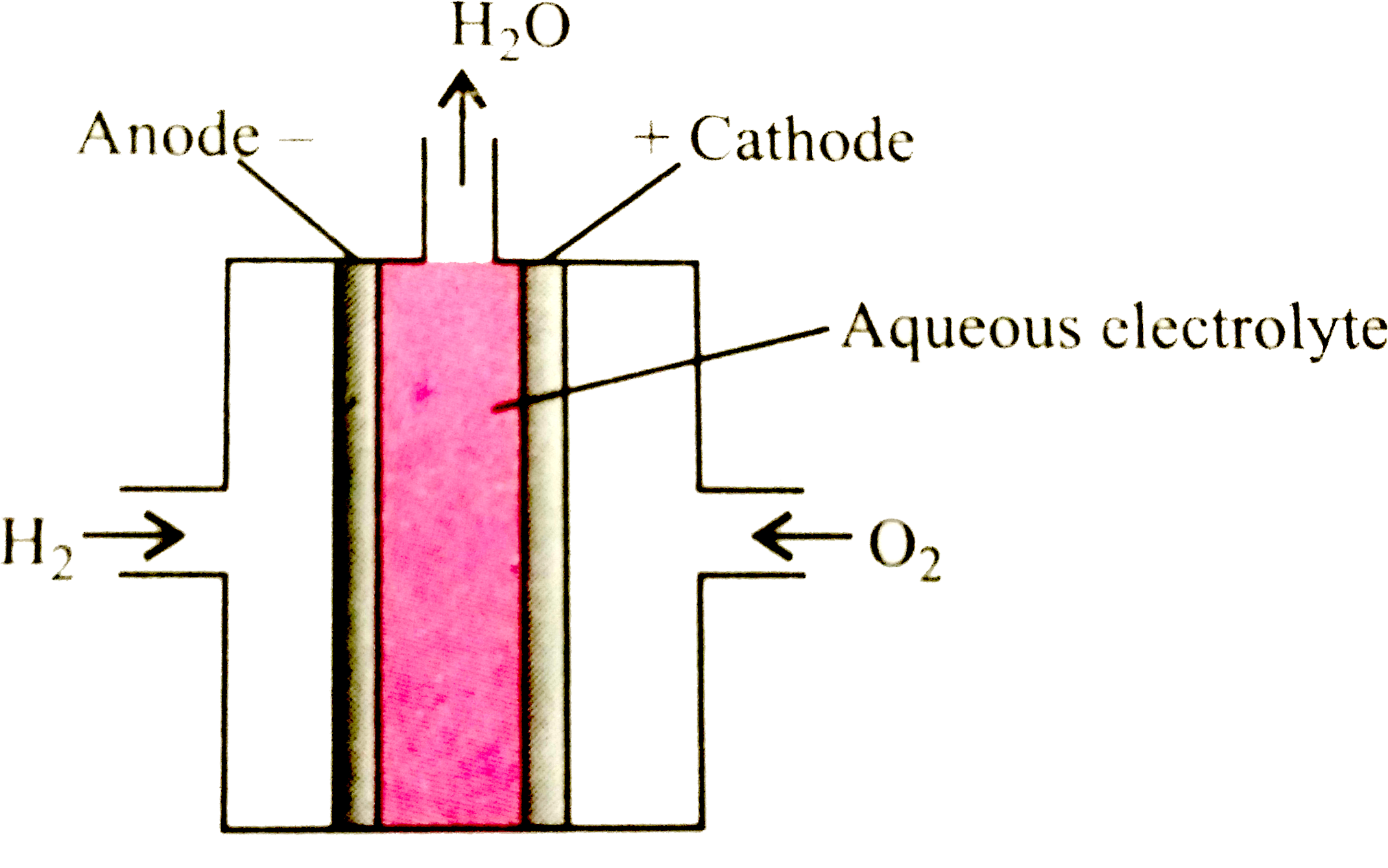 Study the given cell carefully and fill in the blanks by choosing an appropriate option.    In the given cell, hydrogen and oxygen are bubbled through porous (i) electrodes into concontrated aqueous (ii)  solution. Catalysts like finely dividend (iii) or (iv) metal are incorporated into the electrodes for increasing the rate of electrode reactions.