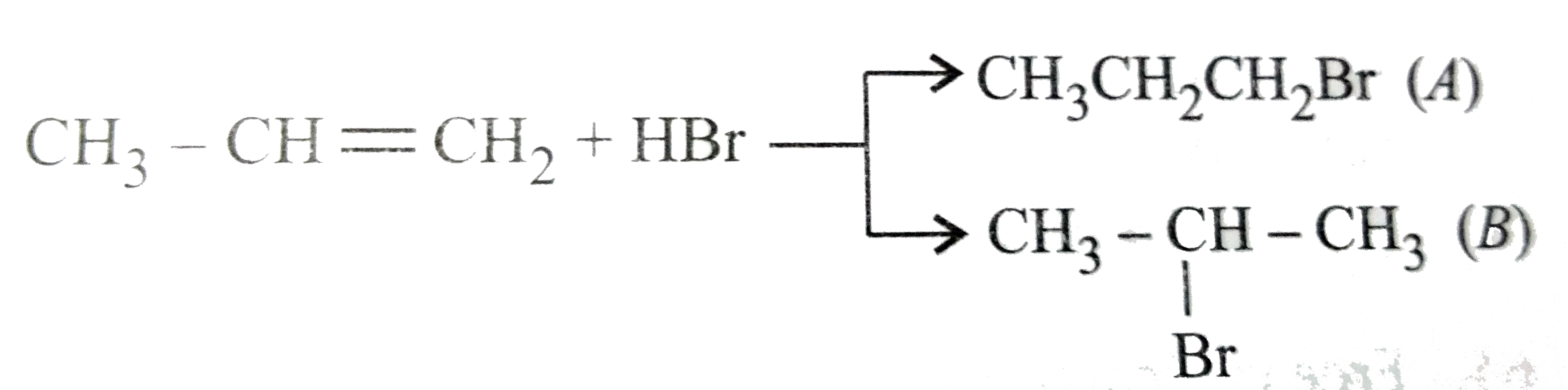 In the given reaction two products are expected.      The product (B) is formed as a major product because