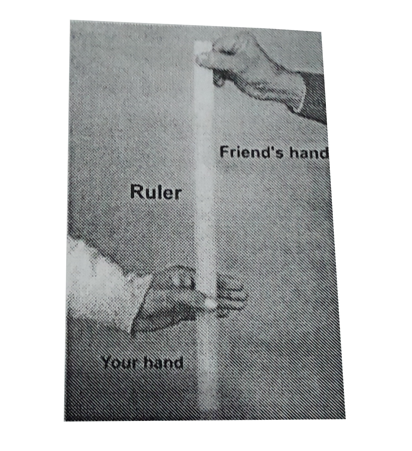 When a situation demands our immediate action. It takes some time before we really respond. Reaction time is the time a person takes to observe. Think and act. For example. If a person is driving and suddenly a boy appears on the road, then the time elapsed before he slams the brakes of the car is the reaction time. Reaction time depends on complexity of the situation and on an individual.   You can measure your reaction time by a simple experiment. Take a ruler and ask your friend to drop it vertically through the gap between your thumb and forefinger(Fig. 3.15). After you catch it, find the distance d travelled by the ruler. In a particular case, d was found to be 21.0 cm. Estimate reaction time.