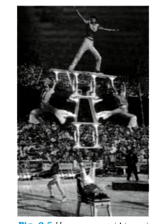 In  a human pyramid in a circus, the entire weight of the balanced group is supported by the legs of a performero who is  lying on his back (as shown in Fig. 9.5). The combined mass of all the persons performing the act, and the tables, plaques etc. involved is 60 kg. Each thighbone (femur) of this performer has a length of 50 cm and an effective radius of 2.0 cm. Determine the amount by which each thighbone gets compressed under the extra load.