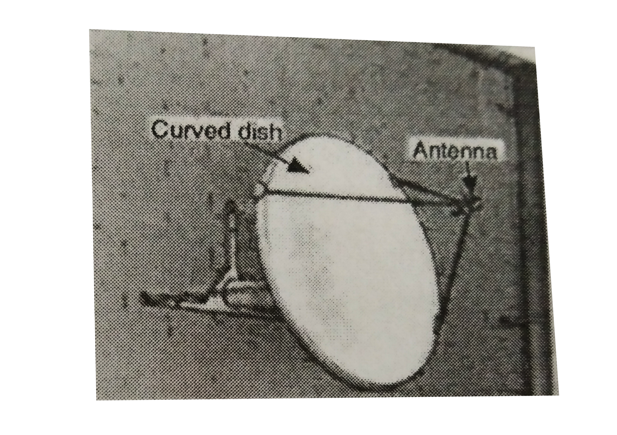 The diagram shows a dish antenna which is used to receive televisiton signals form a satellite. The antenna (signal detector ) is fixed forn of the curved dish .