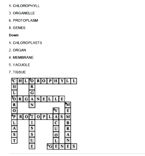 Complete the crossword with the help of clues given below