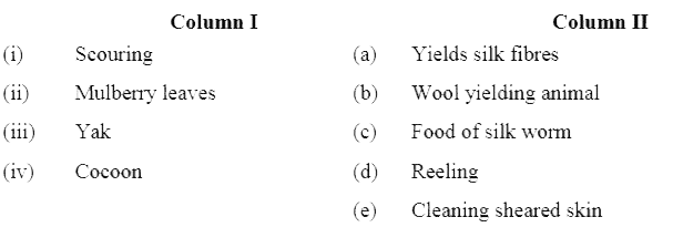 Match the words of Column I with those given in Column II: