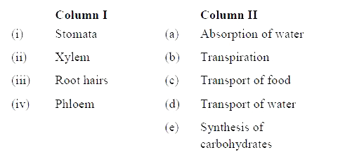 Match structures given in Column I with functions given in Column II.