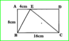 ABCD rectangle with AB= 8cm, BC= 16cm and AE=4cm. find the area of /\BCE. Is the area of /\BEC equal to the sum of the areas of /\BAE and /\CDE ?