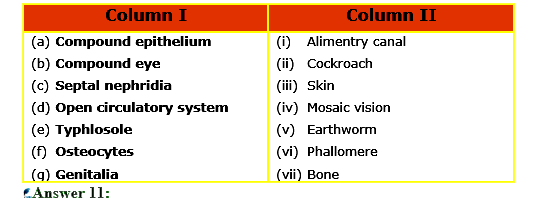 Match the terms in column I with those in column II: