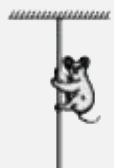 A monkey of mass 40 kg climbs on a rope. which can stand a maximum tension of  600 N. In which of the following cases will the rope break: the monkey (a) climbs up with an acceleration of 6 m s^(-2)   (b) climbs down with an acceleration of 4 m s^(-2 )  (c) climbs up with a uniform speed of 5 m s^(-1)   (d) falls down the rope nearly freely under gravity? (Ignore the mass of the rope).