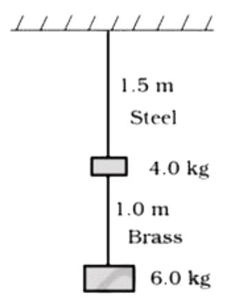 Two wires of diameter 0.25 cm, one made of steel and the other made of brass are loaded as shown in Fig. 9.13. The unloaded length of steel wire is 1.5 m and that of brass wire is 1.0 m. Compute the elongations of the steel and the brass wires.