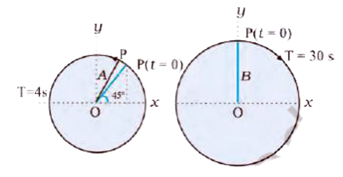 The figure given below depicts two circular motions. The radius of the circle, the period of revolution, the initial position and the sense of revolution are indicated in the figures. Obtain the simple harmonic motions of the x-projection of the radius vector of the rotating particle P in each case.