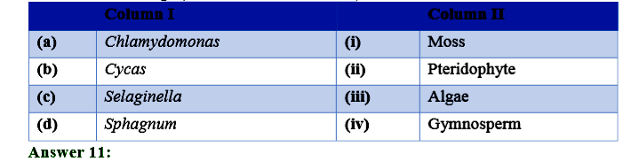 Match the followings (column I with column II)