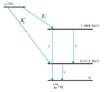 Obtain the maximum kinetic energy of b-particles, and the radiation frequencies of g decays in the decay scheme shown in Fig. You are given that   m(