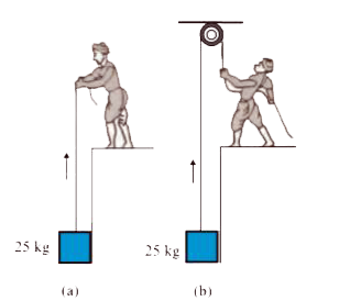A block of mass 25 kg is raised by a 50 kg man in two different ways as shown in Fig.  What is the action on the floor by the man in the two cases ?  If the floor yields to a normal force of 700 N, which mode should the man adopt to lift the block without the floor yielding ?