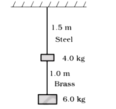 Two wires of diameter 0.25 cm, one made of steel and the other made of brass are loaded as shown in Fig. 9.13. The unloaded length of steel wire is 1.5 m and that of brass wire is 1.0 m. Compute the elongations of the steel and the brass wires.