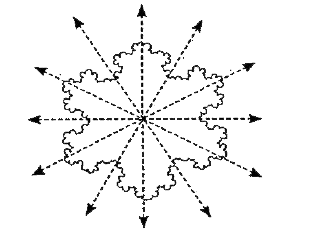 Observe this beautiful figure . It is a symmetric pattern known as koch's snow flake ( If you have access to a computer , browse through the topic 'fractal ' and find more such beauties !) .Find the lines of symmetry in this figure .