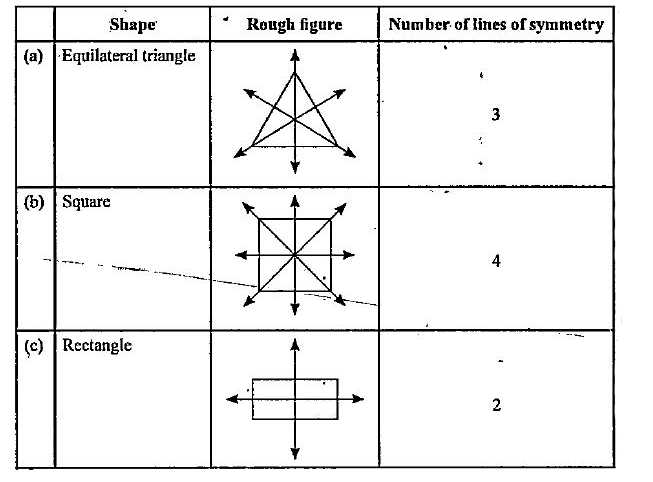 Find the number of lines of symmetry for each of the following shapes :