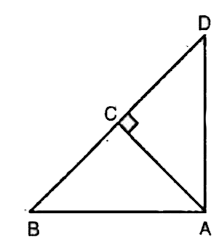 In ABD is a triangle right angled at A and AC bot BD. Show right angled at A and AC bot BD. Show that       AB^(2) = BC. BD