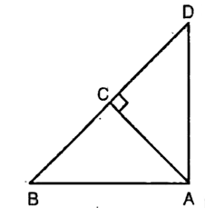 In ABD is a triangle right angled at A and AC bot BD. Show right angled at A and AC bot BD. Show that       AD ^(2) = BD. CD