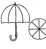 An umberalla has 8 ribs which area equally spaced. Assuming umbrella to be a flat circle of radius 45 cm, find the area between the two consecutive ribs of the umbrella.