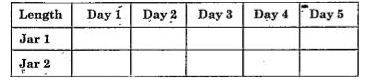 Take two glass jars and fill them with water.     Now, take two onion bulbs and place one on  each jar, as shown in Fig. 6.1 of the textbook page 69.   Observe the growth of roots in both the bulbs  for a few days.   Measure the length of roots on day 1, 2 and 3. . On day 4, cut the root tips of the onion bulb in jar 2 hy about 1 cm. After this, observe the growth of roots in both the jars and measure their lengths each day for five more days and record the observations in tables, like the table below:      From the observations, answer the following questions :   Why would the tips stop growing in jar two after we cut them?