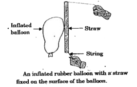 Take a big size rubber balloon and inflate it fully- Tie its neck using a thread. Also using adhesive tape, fix a straw on the surface of this balloon. Pass a thread through the straw and hold one end of the thread in your hand. Ask your friend to hold the other end of the thread at some distance.        What will happen if we remove the thread tied on the neck of the balloon?