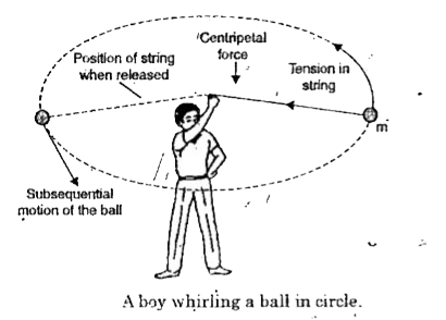 Take a piece of thread. Tie a small stone at one end. Hold the other end of the thread and whirl it round as shown. Note the motion of the stone.   Release the thread. Again note the direction of motion of the stone.