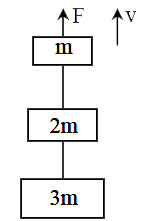 Three blocks with masses m, 2m and 3m are connected by strings, as shown in the figure. After an upward force F is applied on block m, the masses move upward at constant speed v. What is the net force on the block of mass 2m ? (g is the acceleration due to gravity)