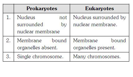 ocr_image