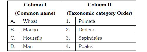 Match the following and choose the correct combination from the options given-