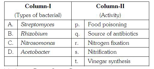 Match the types of bacteria listed in column I with their activity given in column II. Choose the correct combination of alphabets of the two columns