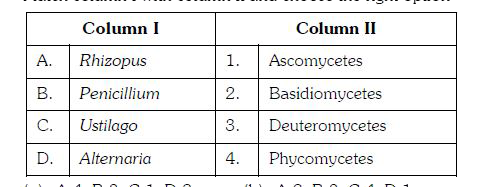 Match column I with column II and choose the right option