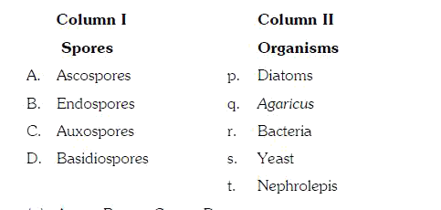 Match the different types of spores listed under column I with the names of the organisms given under column II. Choose the answer which gives correct combination of the alphabets of the two columns