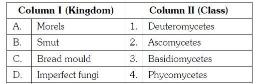 Match column I with column II and select the correct option