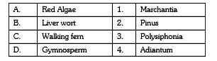 Match the following