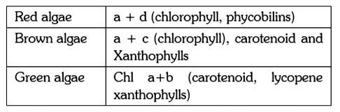 ocr_image