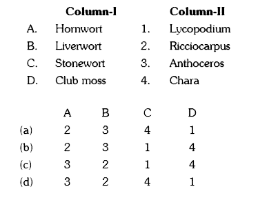 Match the columns