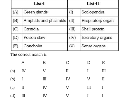 Match the following