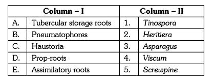 Match the items in Column – I with Column – II and choose the correct alternative