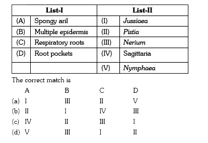 Study the following lists