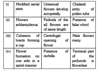 Select the correct pair of answers in which the former  represents the set of characters present in Poinsettia and the latter in the pair represents the set of characters present in Casuarina        Study the following table