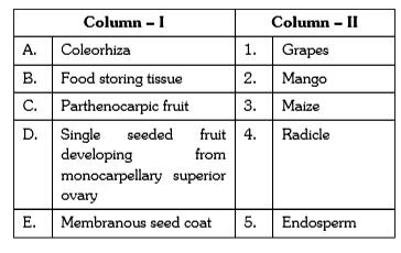 Match Column – I with Column – II and choose the correct answers