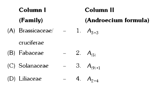 Match the following and choose the correct combination from the options given